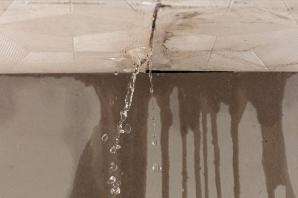 Professional Structural Drying technician working in Long Creek, IL